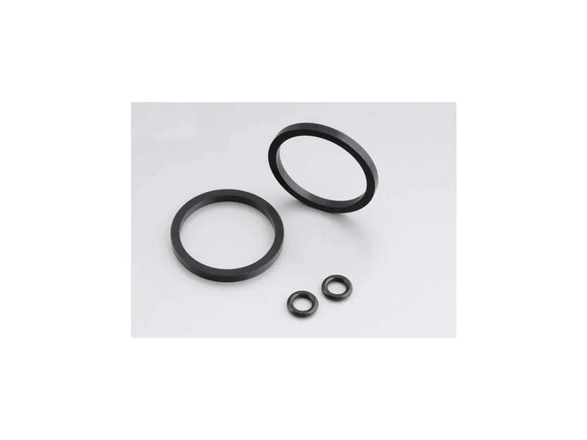 Kit guarnizioni per pinza freni a 2 pistoni RST R 