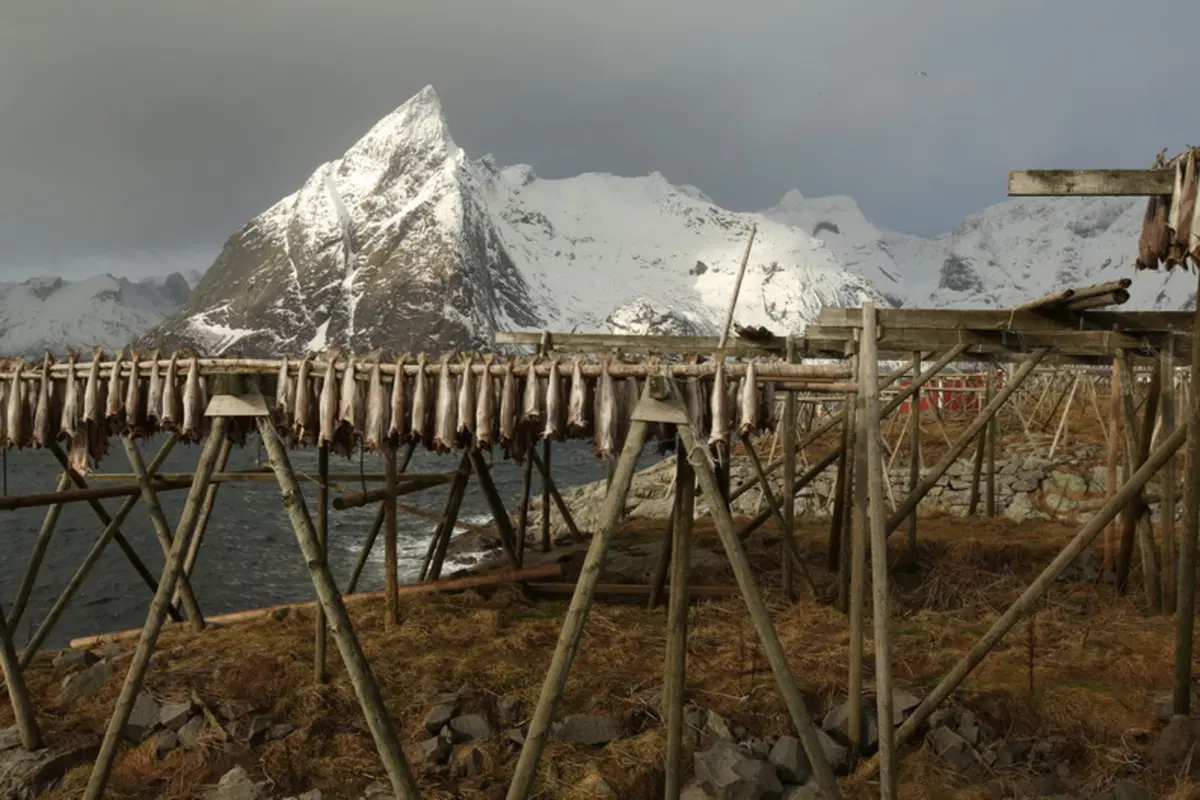 Planet Explorer 6, Norway: Day 5 (7)