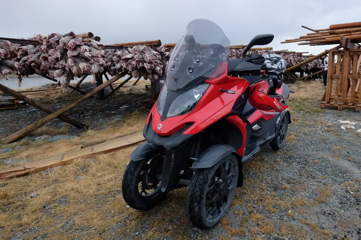 Planet Explorer 6, Norway: Day 6 (10)