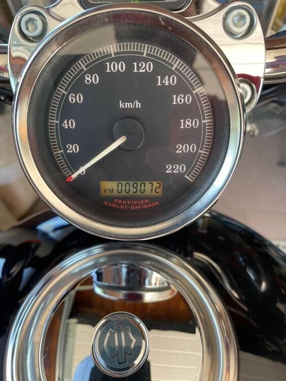 Harley-Davidson 1200 Custom (2004 - 06) - XL 1200C (4)
