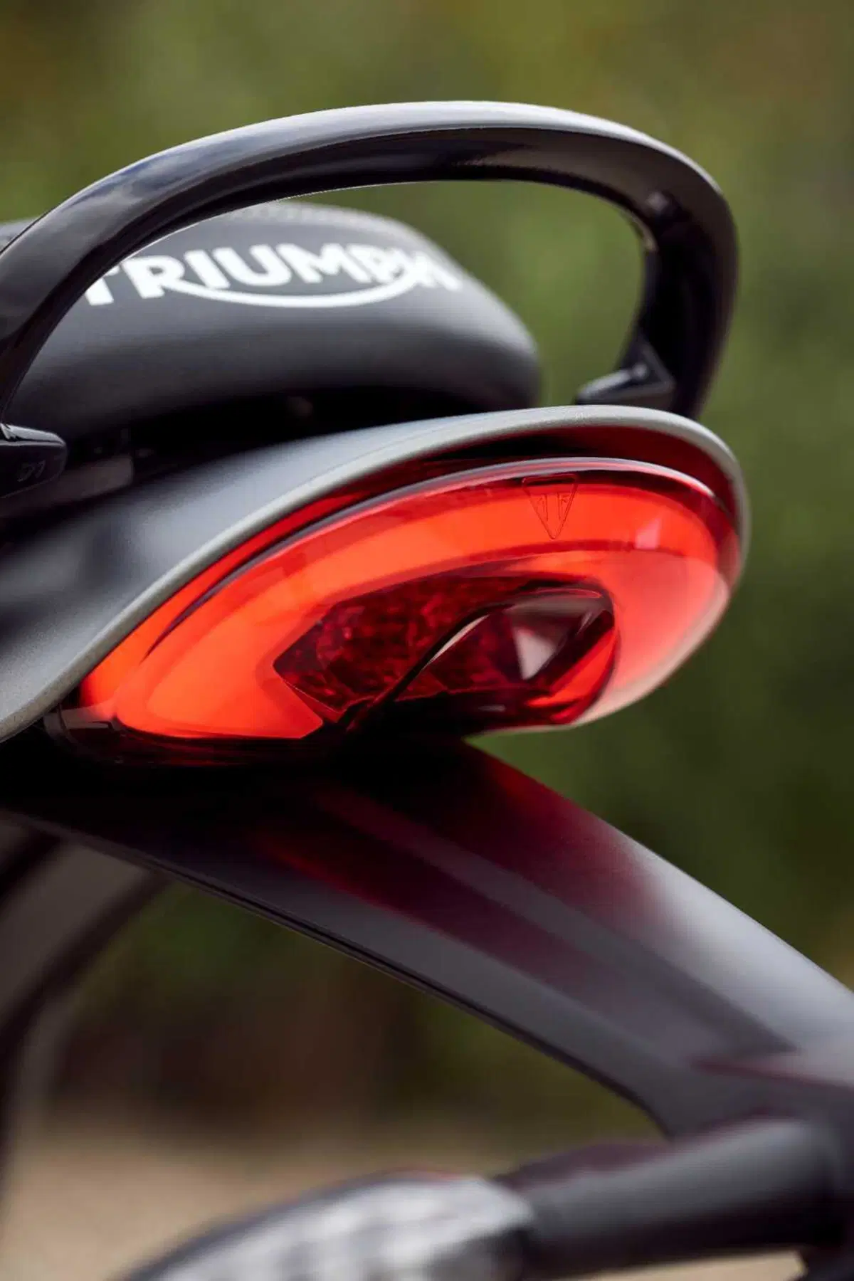 SOTTO EMBARGO. Triumph svela la sua nuova roadster: ecco a voi la Speed 400! [VIDEO] (34)