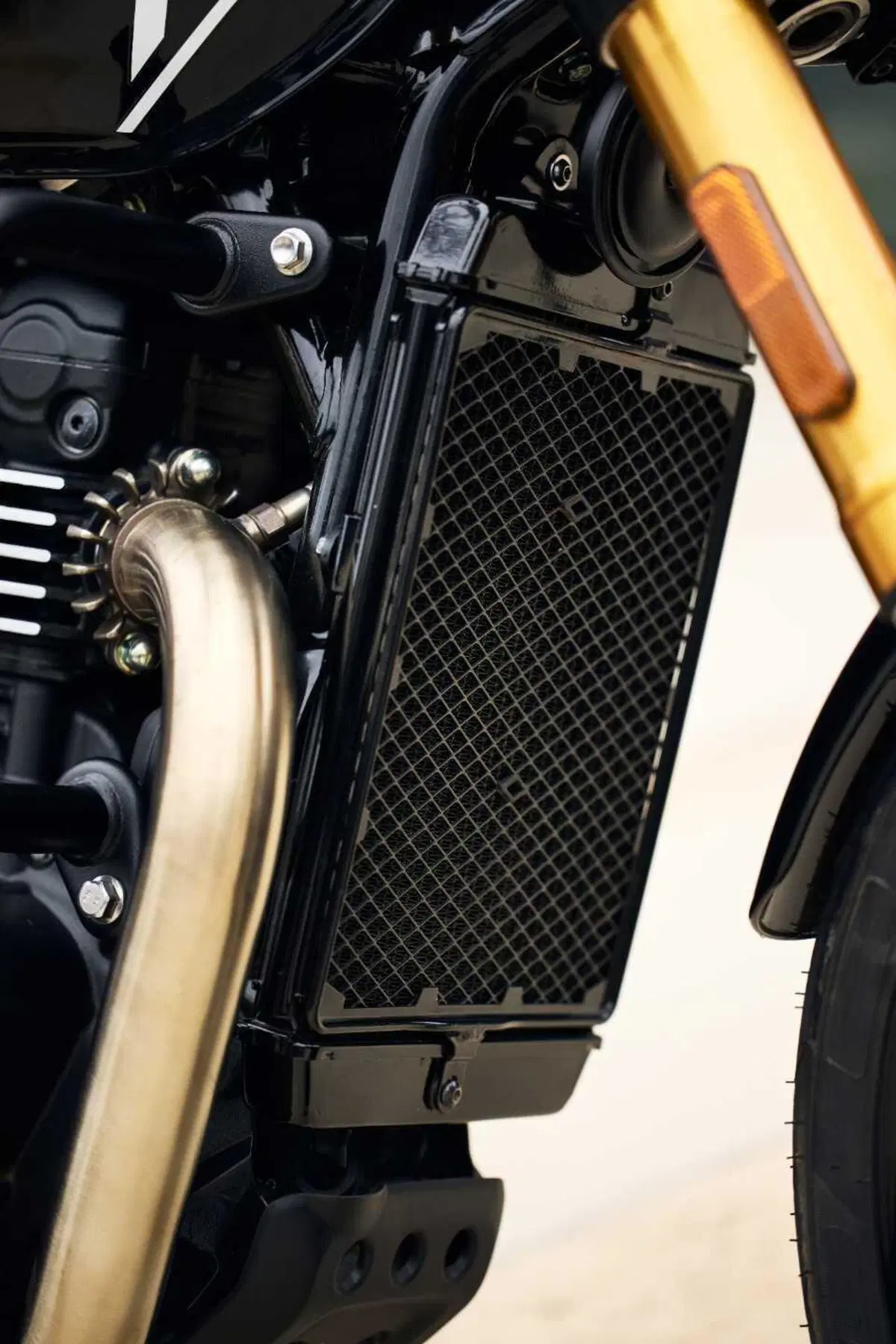 SOTTO EMBARGO. Triumph svela la sua nuova roadster: ecco a voi la Speed 400! [VIDEO] (39)
