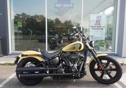 Harley-Davidson Street Bob 114 (2021 - 23) nuova