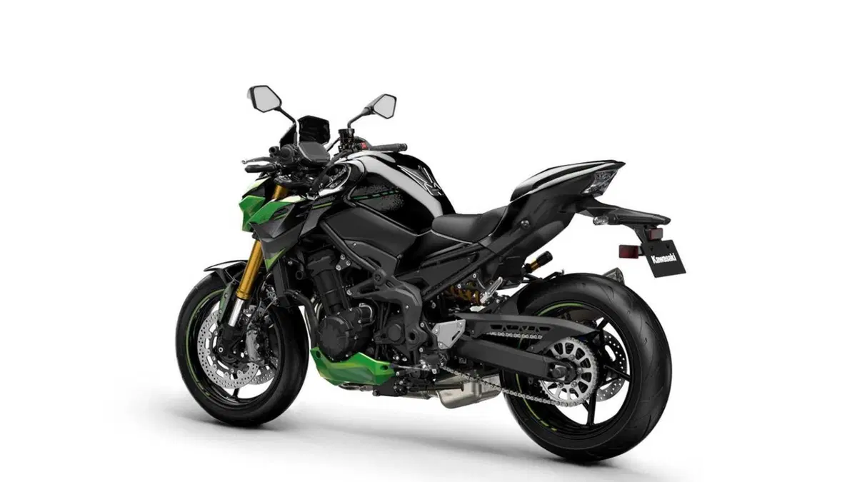 Kawasaki Z 900 Z 900 SE Performance (2023 - 24) (2)