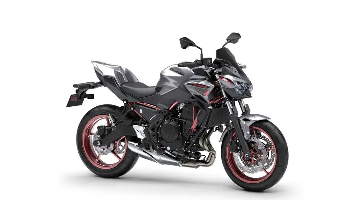 Kawasaki Z 650 Z 650 Sport (2021 - 24) (3)