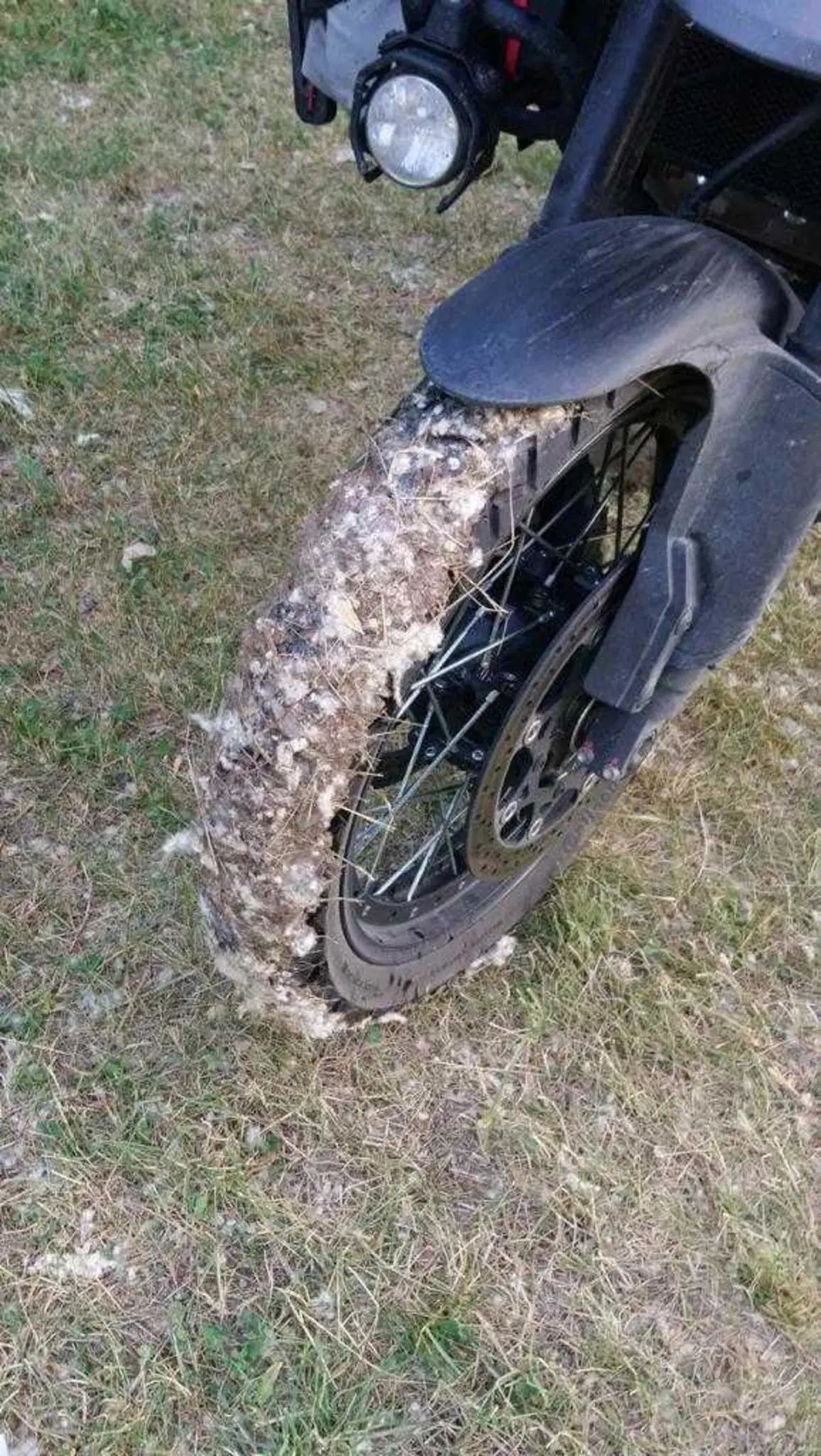 Leg in bag: verso la Mongolia con una gamba di scorta. L'arrivo in Georgia (13)