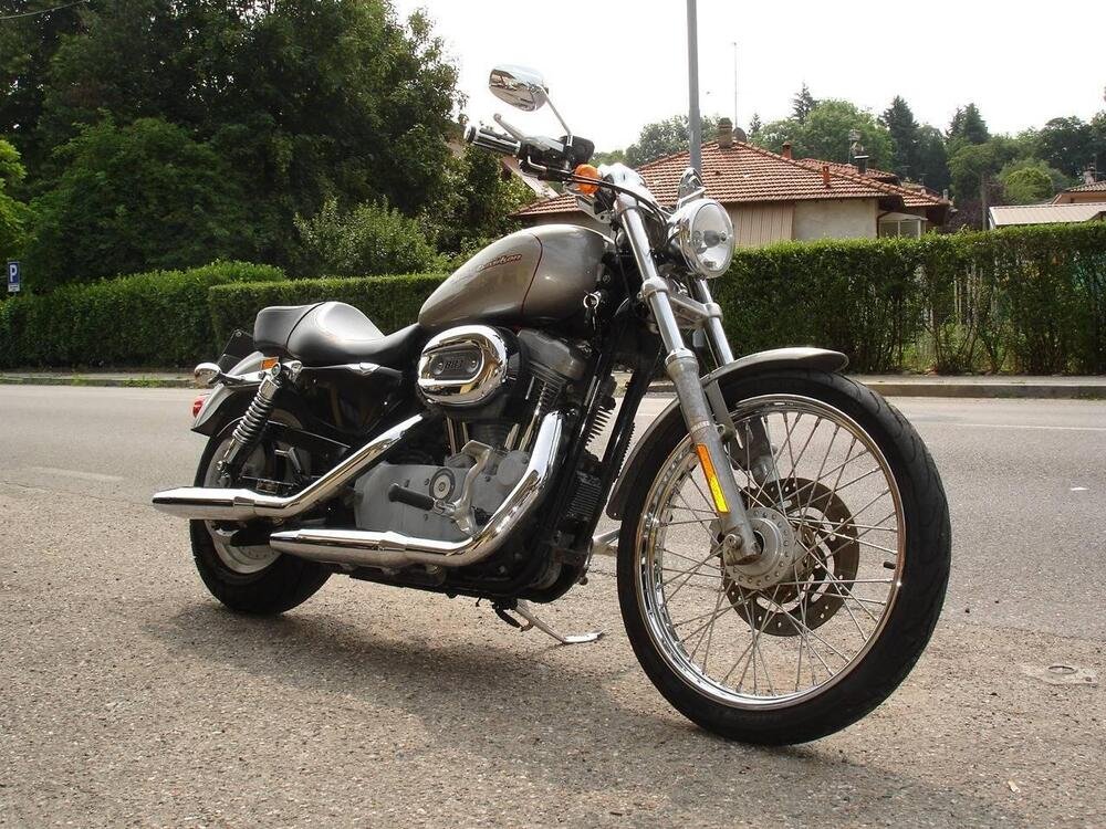 Harley-Davidson 883 Custom (2006 - 07) - XL 883C (5)