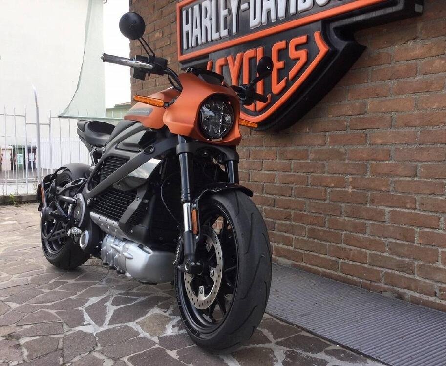 Harley-Davidson LiveWire (2019 - 22) (2)