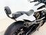 Harley-Davidson Sportster S (2022 - 24) (7)