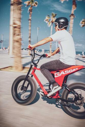 Urban Cruiser: la ebike che si crede una supermotard! (3)