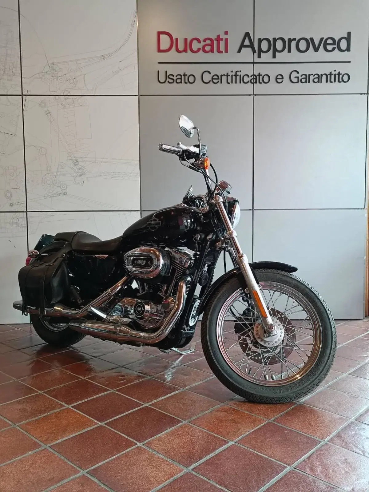 Harley-Davidson 1200 Custom (2007 - 13) - XL 1200C (2)