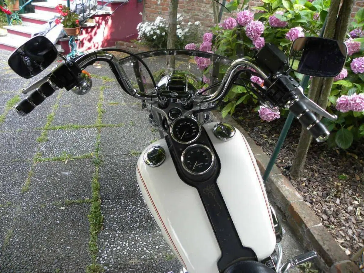 Harley-Davidson 1340 Low Rider (1994 - 99) (4)