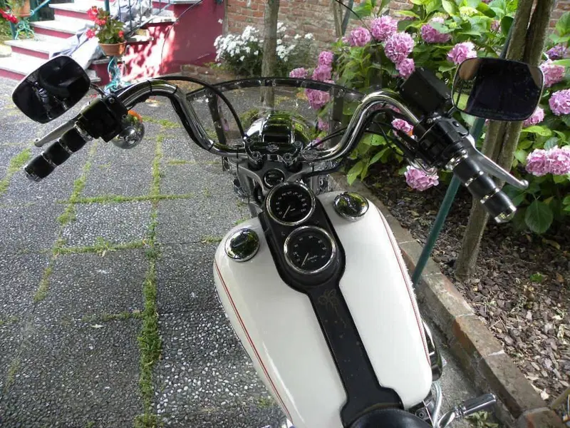 Harley-Davidson 1340 Low Rider (1994 - 99) (4)