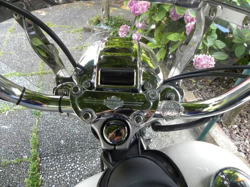 Harley-Davidson Harley-Davidson FXDL Dyna Low Rider 1340 (10)