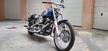 Harley-Davidson Softail custom  (7)