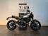 Ducati Scrambler 800 Icon Dark (2021 - 22) (6)