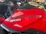 Ducati Monster 937 + (2021 - 24) (7)
