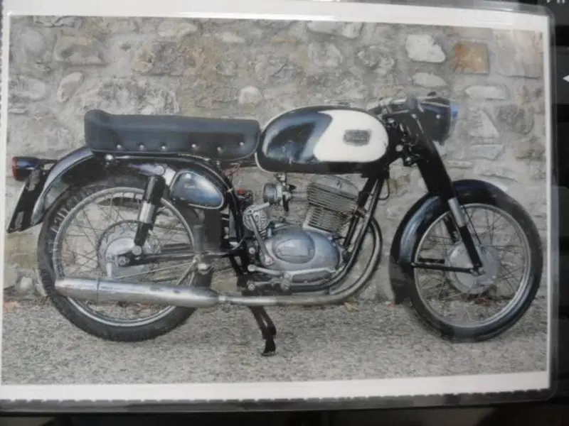 Bianchi BERNINA (14)