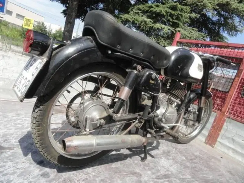Bianchi BERNINA (9)