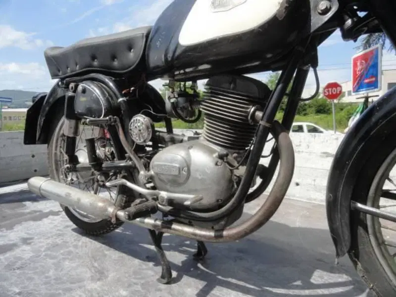 Bianchi BERNINA (13)