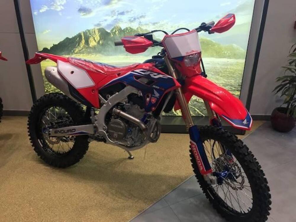 Honda CRF 300 RX Enduro Special (2023)