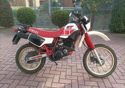 Yamaha XT 600 (1984 - 98) usata