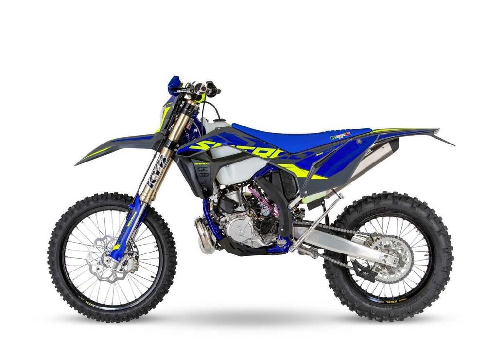 Sherco 300 SE Factory (2024) (2)