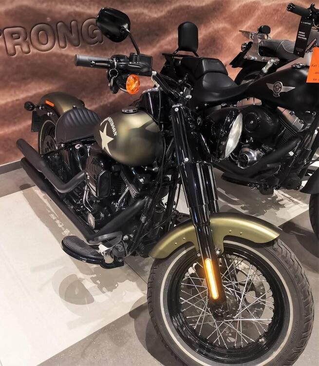 Harley-Davidson 1800 Slim S (2015 - 17) - FLS (2)
