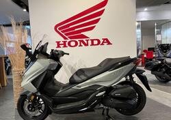 Honda Forza 125 (2023 - 24) usata