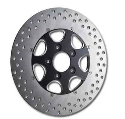 Disco freno posteriore Diametro 11,8" Eliminator 7 RevTech