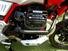Moto Guzzi V85 TT Evocative Graphics (2021 - 23) (7)
