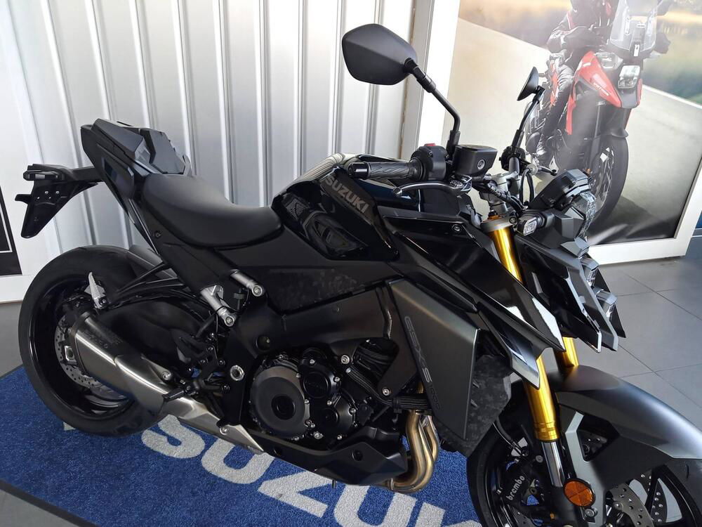 Suzuki GSX-S1000 (2021 - 24) (2)