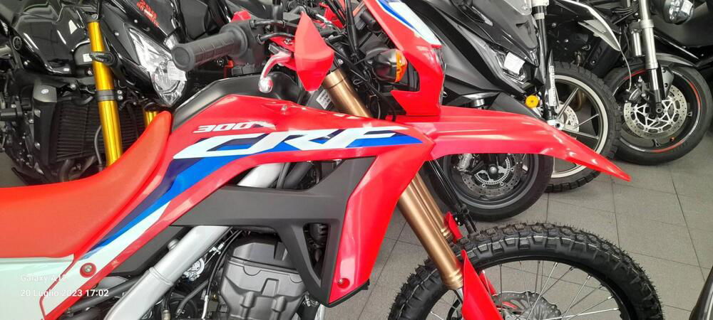 Honda CRF 300 L (2021 - 24) (3)