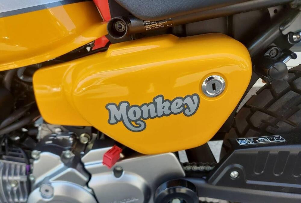 Honda Monkey 125 (2022 - 23) (4)