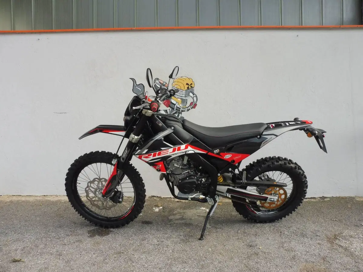 Rieju Marathon 125 Pro (2022 - 25) (3)