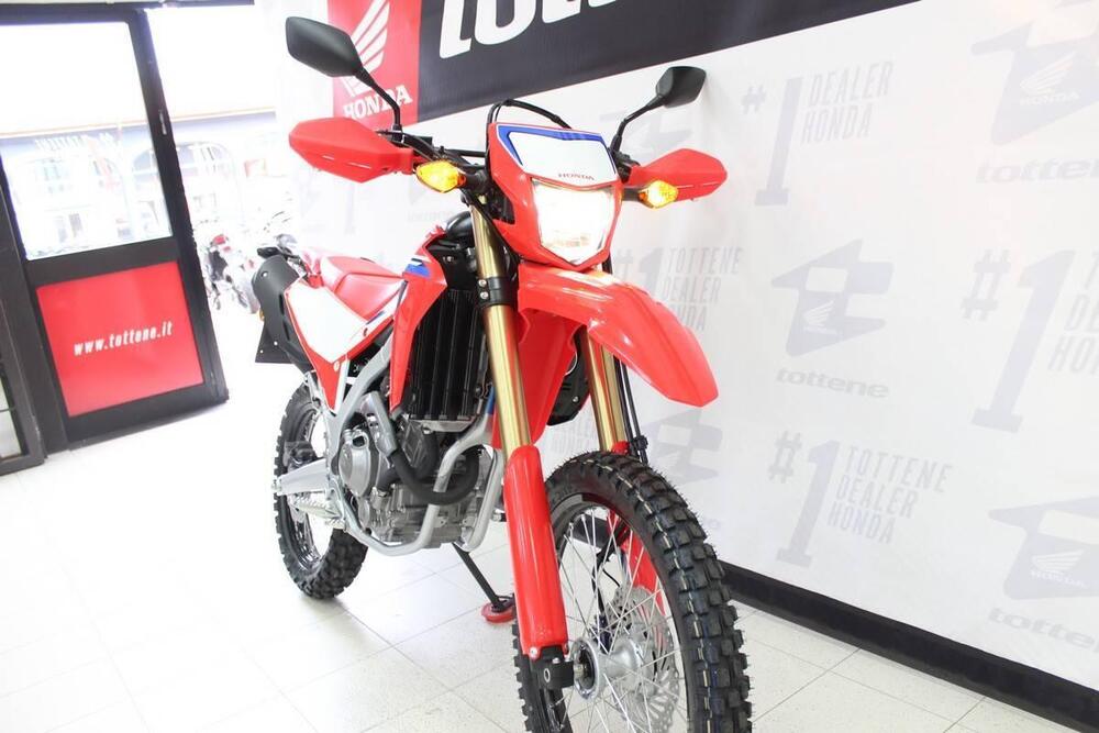 Honda CRF 300 L (2021 - 24) (4)