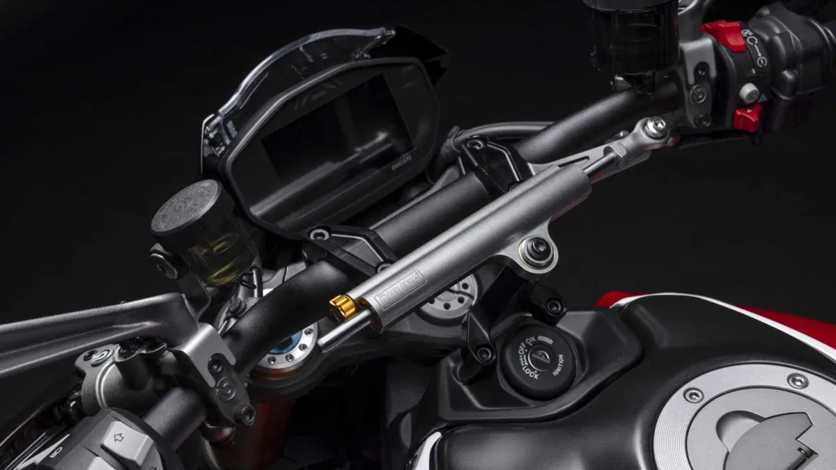 Ducati Monster 937 Monster 937 30° Anniversario (2023 - 24) (13)