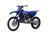 Yamaha YZ 250 (2024) (6)