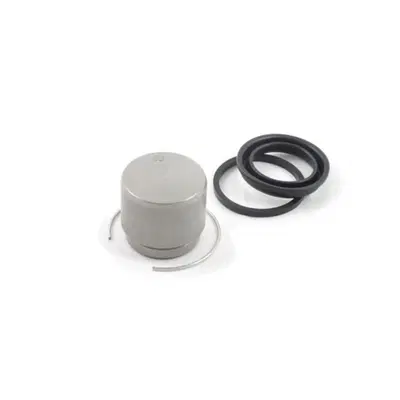 Kit paraoli e pistoncino per pinza freno anteriore Zodiac