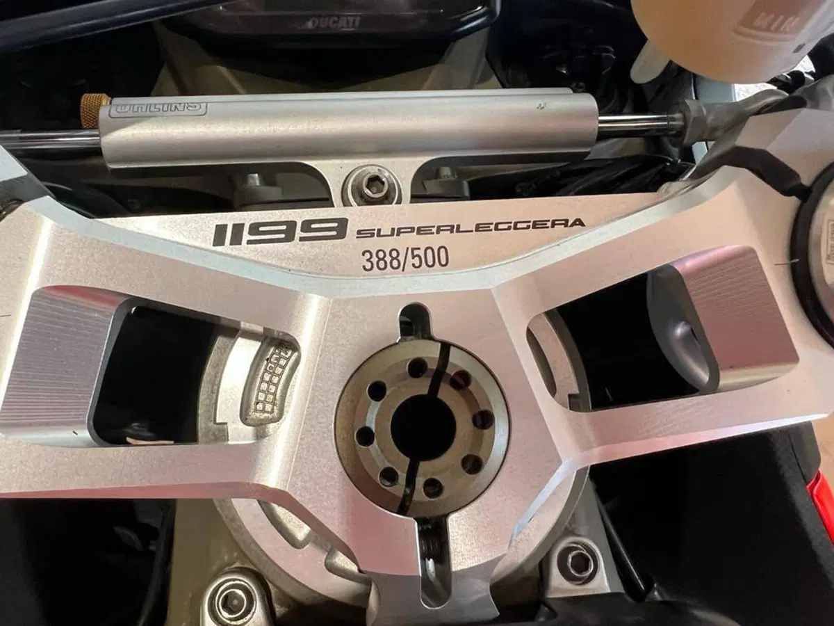 Ducati Superleggera 1199 (2014) (7)