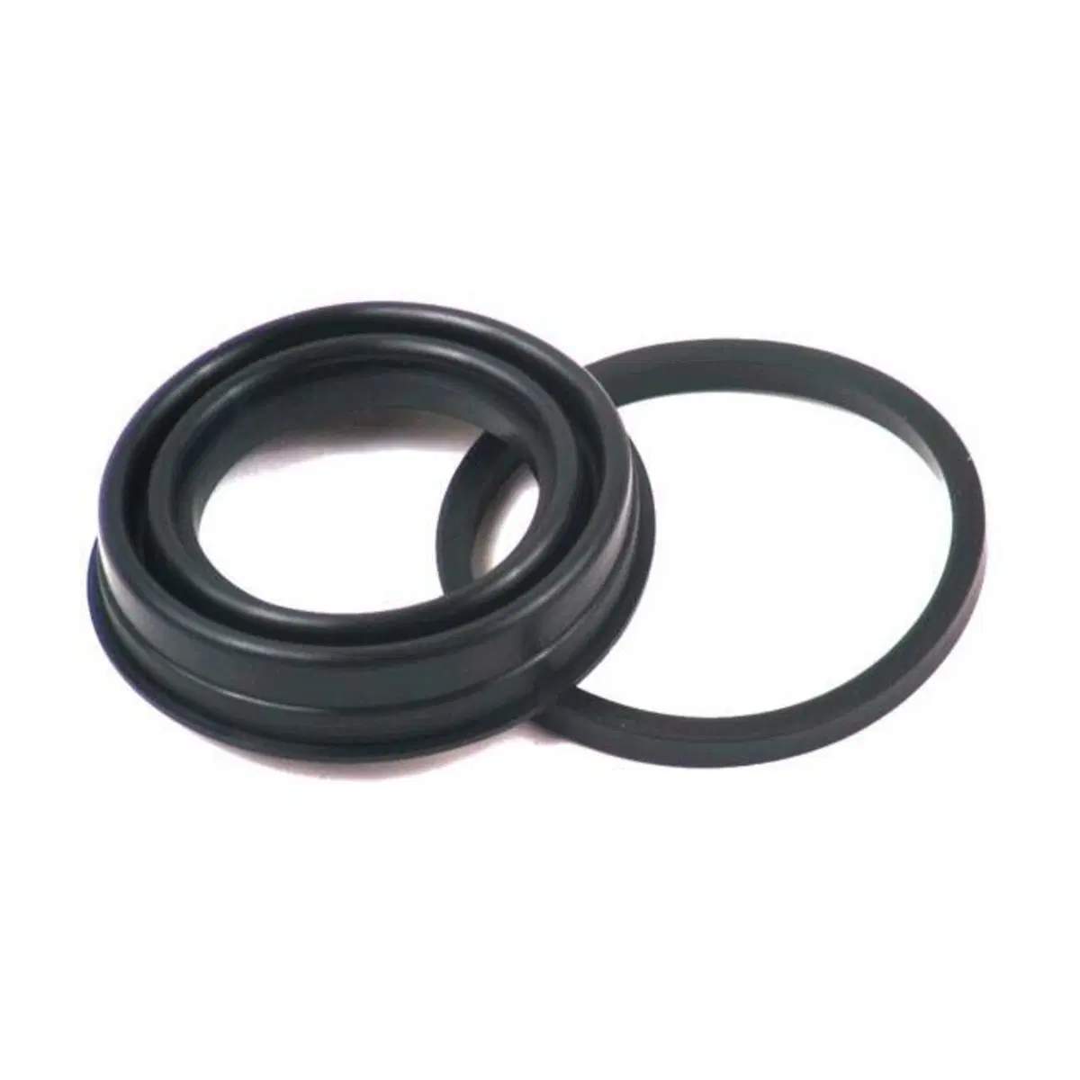 KIT paraoli pinza freno posteriore per FXR e Sport 