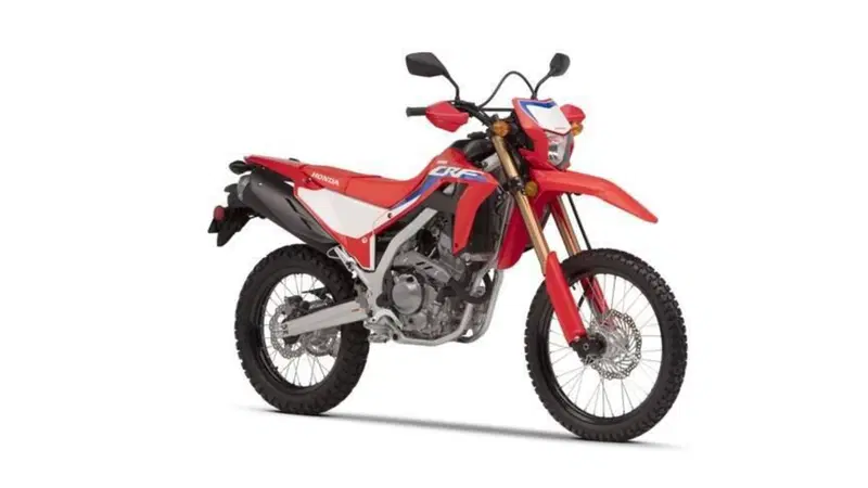 Honda CRF 300L (2021 - 24) (2)