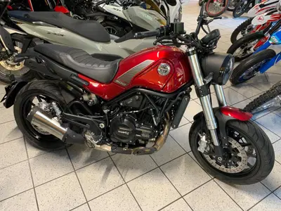 Benelli Leoncino 500 (2021 - 25) nuova