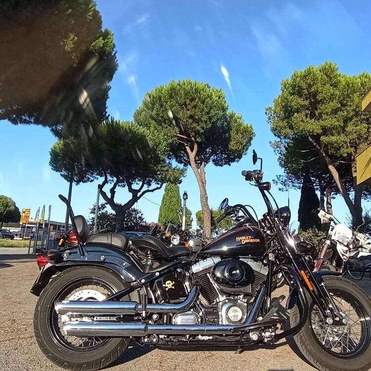 Harley-Davidson 1584 Cross Bones (2008 - 11) - FLSTSB (4)