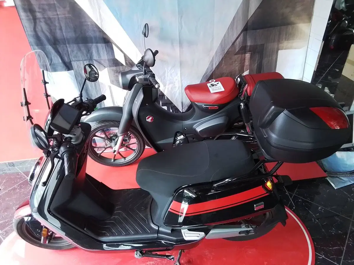 Niu MQi Pro (2019 - 20) (18)