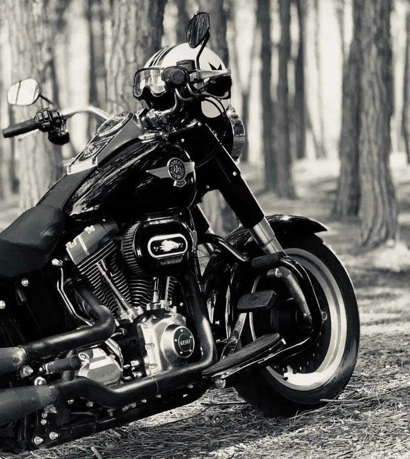 Harley-Davidson 1690 Fat Boy Special (2010 - 17) - FLSTF (2)