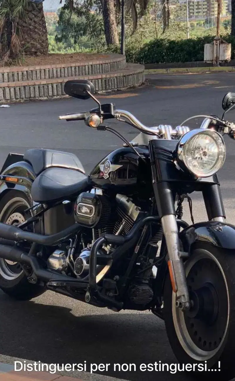 Harley-Davidson 1690 Fat Boy Special (2010 - 17) - FLSTF (5)
