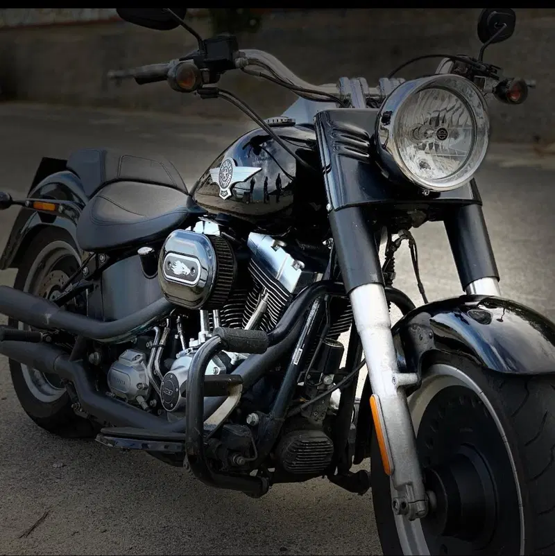Harley-Davidson 1690 Fat Boy Special (2010 - 17) - FLSTF (6)