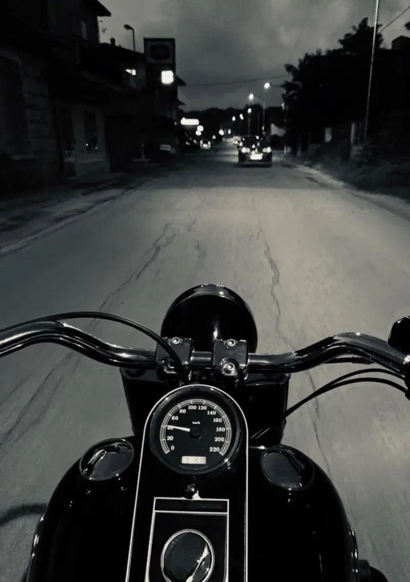 Harley-Davidson 1690 Fat Boy Special (2010 - 17) - FLSTF (15)