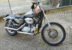 Harley-Davidson 883 Custom (2008 - 12) - XL 883C usata